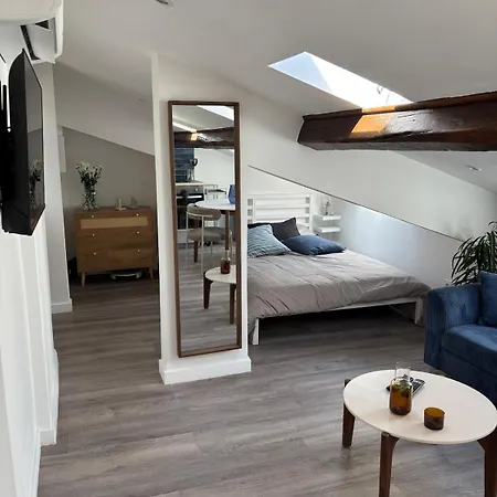 Apartamento Cocon Lumineux Sous Les Toits De *