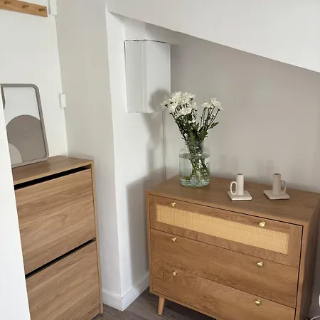 Cocon Lumineux Sous Les Toits De Apartamento Niza