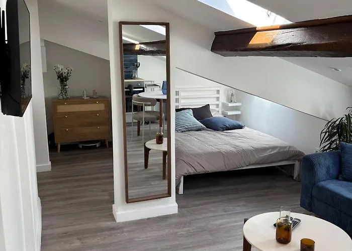 Apartamento Cocon Lumineux Sous Les Toits De *